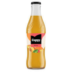 CAPPY NECTAR PIERSICI 0,250ML